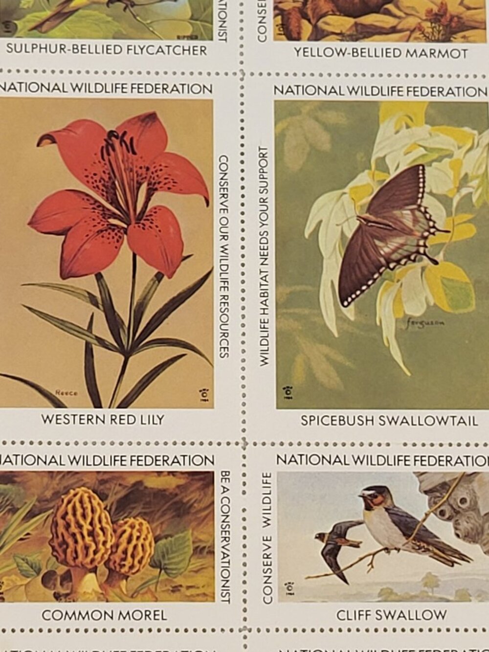 Vtg Stamps 36p America 1984 Wildlife by R Peterson Collector Album Philately USA - Picture 4 of 8